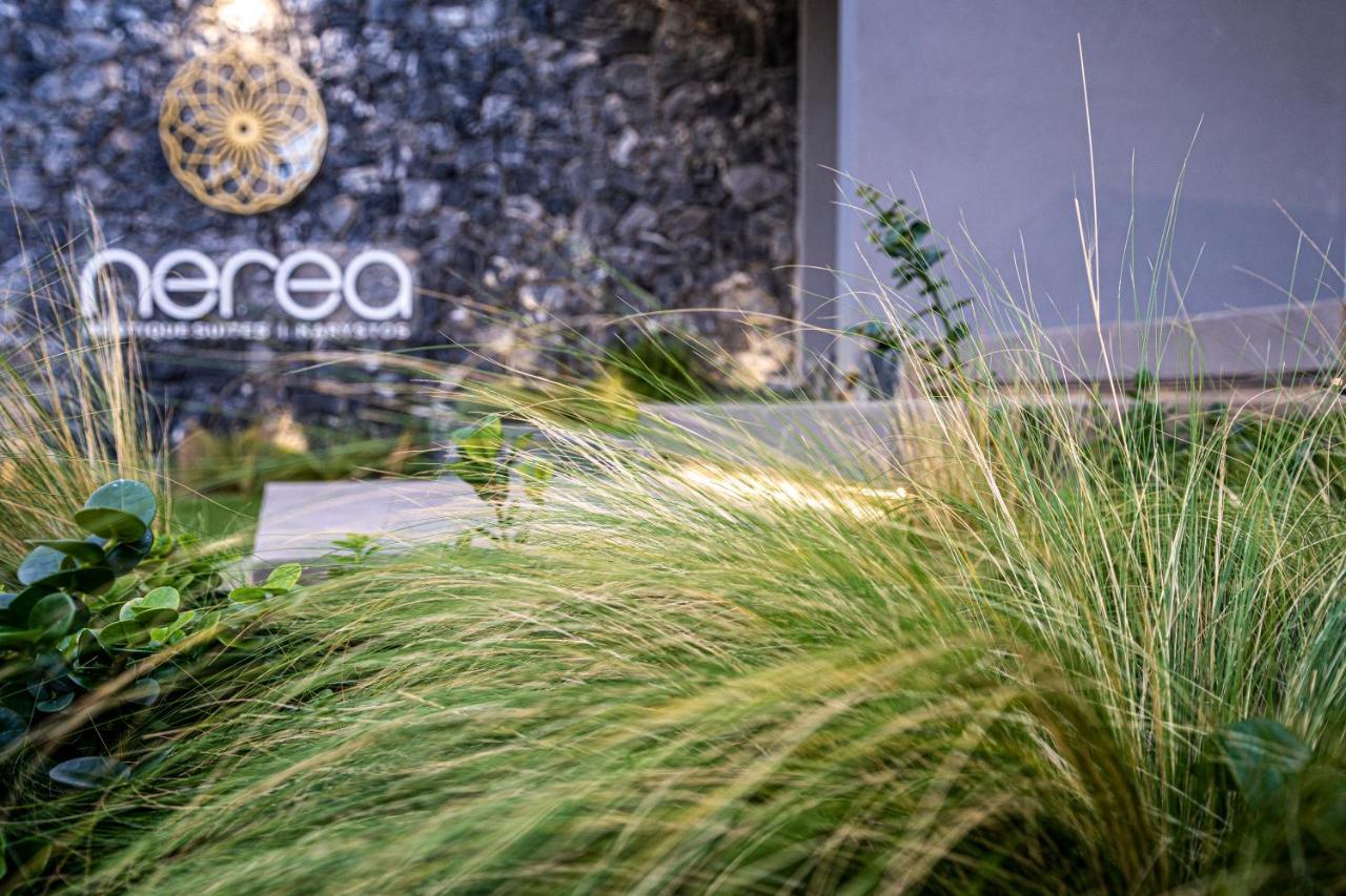 Nerea Boutique Suites Karystos Kültér fotó